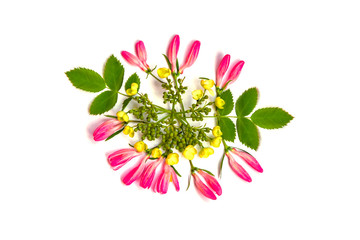 Abstract spring background. Floral pattern of small pink flower buds and yellow flowers with green leaves on a white background. The view from the top. 