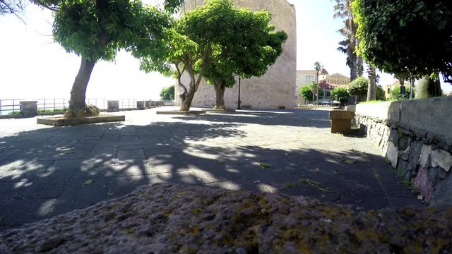 Trees in Alghero seafront. Sardinia, Italy