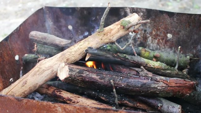 Dry old tree branches burn in the grill