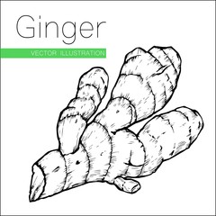 ginger on white