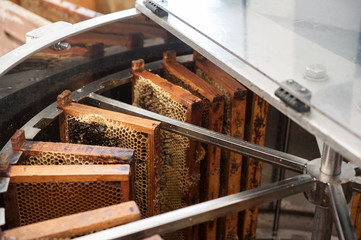 Centrifugal machine for extracting honey from honeycombs