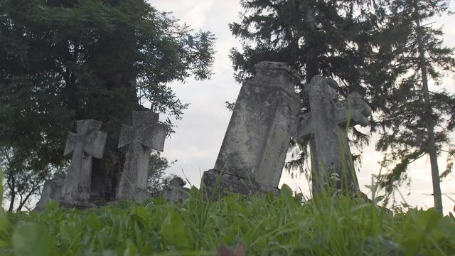 Old cemetery crosses in high grass, 4K