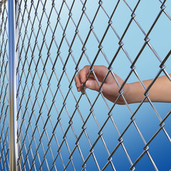 WireFence Chain Link Fence