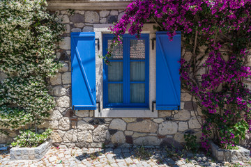  Window with blue shutters and blooming jasmine and bougainvillea plant on stone wall  at Alacati, Turkey