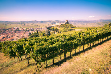 view of Soave (Italy) and its famous medieval castle - 160281815