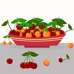Illustration of a yellow and red, ripe and sweet cherries in a plate on a table. 