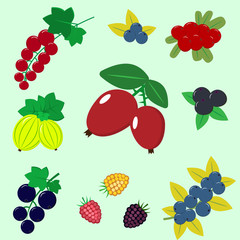Delicious and sweet berries, collected in the composition