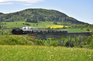 Fototapeta premium Sauschwänzlebahn na wiadukcie Epfenhofen w Schwarzwaldzie