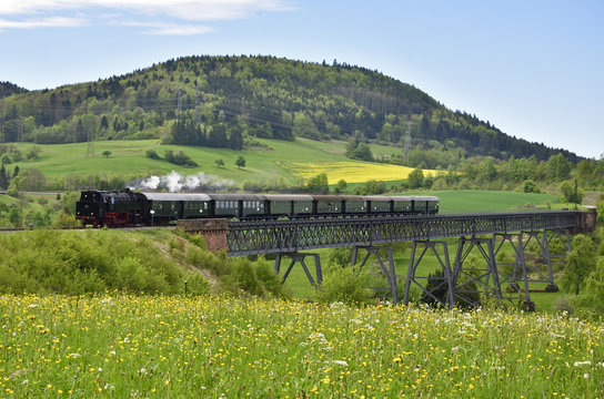 Sauschwänzlebahn auf Viadukt Epfenhofen, Schwarzwald