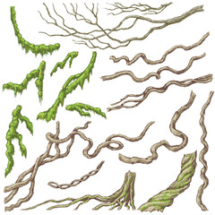 Liana Branches Sketch - obrazy, fototapety, plakaty