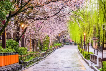 Tuinposter Gion Shirakawa, Kyoto, Japan in het voorjaar. © SeanPavonePhoto