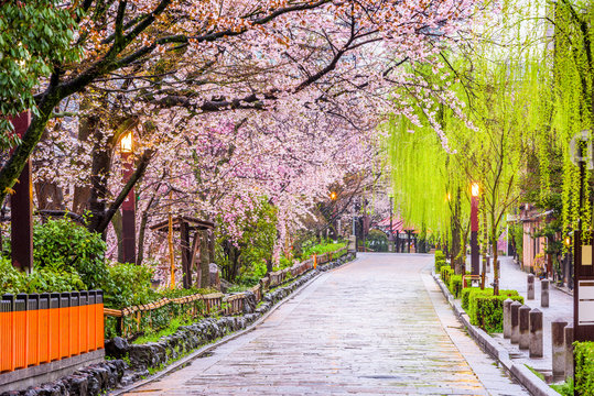 Gion Shirakawa, Kyoto, Japan in spring.