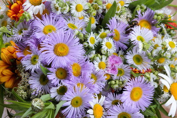 Summer flowers from the garden