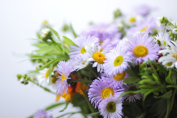 Summer flowers from the garden