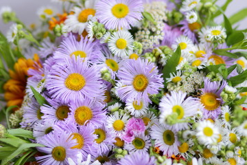 Summer flowers from the garden