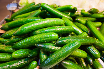 Cucumbers in supermarket