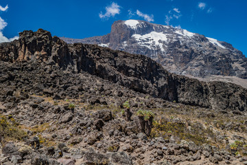 Fototapeta na wymiar Kilimanjaro view from Machame route