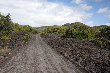 Rangitoto Island, New Zealand