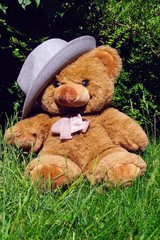 Sitzender Teddyb&auml;r im der freien Natur