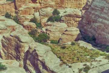 in the scenic wildlife  valley  natural  reserve