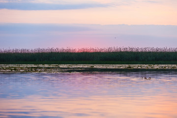 Obraz na płótnie Canvas Beautiful sunrise in Danube Delta
