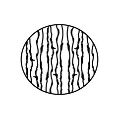 watermelon fruit icon over white background vector illustration