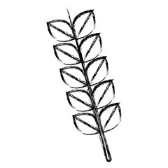 wheat ears icon over white background vector illustration