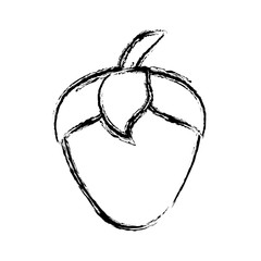 strawberry fruit icon over white background vector illustration
