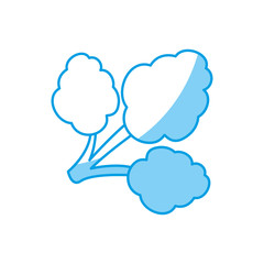 broccoli vegetable icon over white background vector illustration