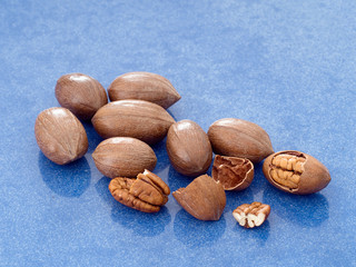Pecan nuts aka pecans on shiny blue background.