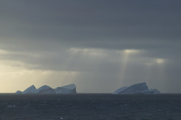 Naklejka na ściany i meble Icebergs, Antarctica