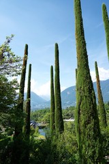 Berg- und Gartenlandschaft in S&uuml;dtirol / Meran