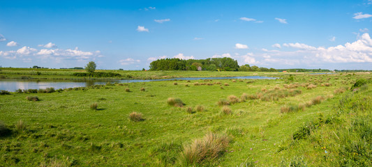 Wetland landscape of nature reserve Tiendgorzen in Haringvliet estuary, Netherlands © TasfotoNL