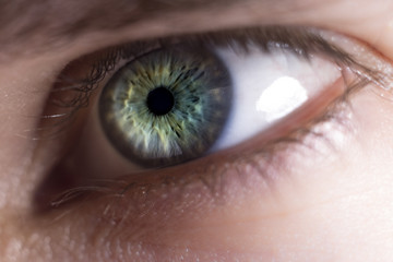 Close up of blue/green human eye © Viktor