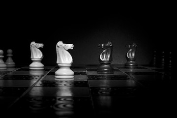 Scacchi fotografati su una scacchiera