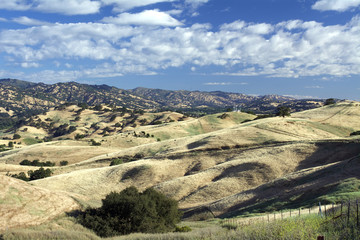 Panoramic view of the Lagoon Valley Park in Vacaville, California, USA, featuring the chaparral in the summer with golden grass 