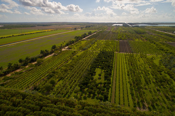 Fototapeta na wymiar Aerial image of Homestead Florida farmland
