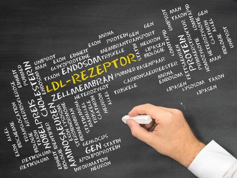 LDL-Rezeptor
