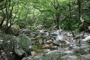 サイの河原 高知市工石山