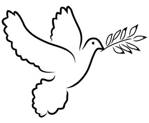 Fototapeta premium vector dove olive