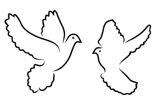 Vector doves silhouettes