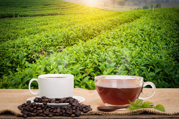 Coffee or tea in the morning on the wooden table and the Tea plantation background
