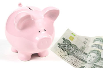 Pink Piggy Bank with Money