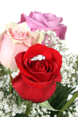 Wedding Ring in Rose, Will you marry me?