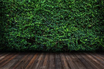 Poster de jardin Mur Mur de feuilles vertes avec plancher en bois.