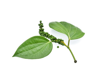 Green peppercorns seeds and Green peppercorns leaf with branch isolated on a white background