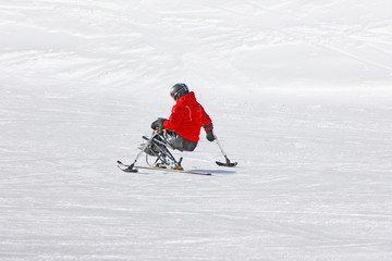 Monoski