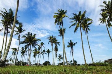 Obraz premium Traditional fisherman village located in Terengganu, Malaysia over cloudy blue sky background during early morning