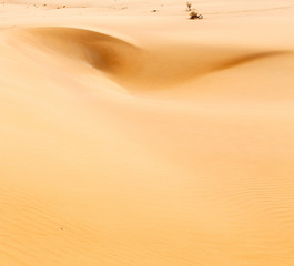 in oman old desert  rub al khali the empty  quarter and outdoor  sand dune