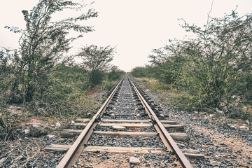 Railway Tracks in the middle of Nowhere 